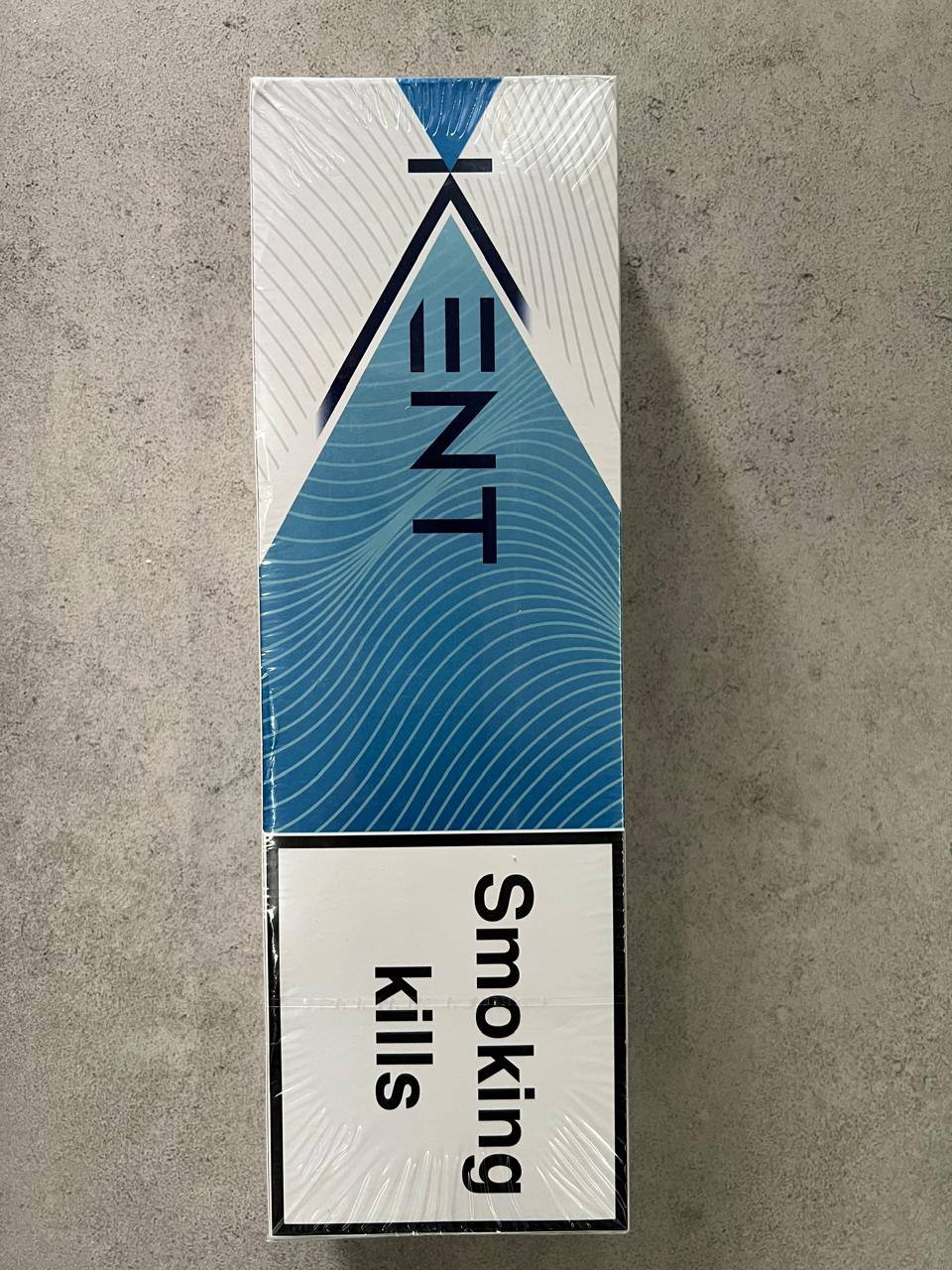 photo_2024-07-24_16-11-38 Kent Blue KS (Картон)